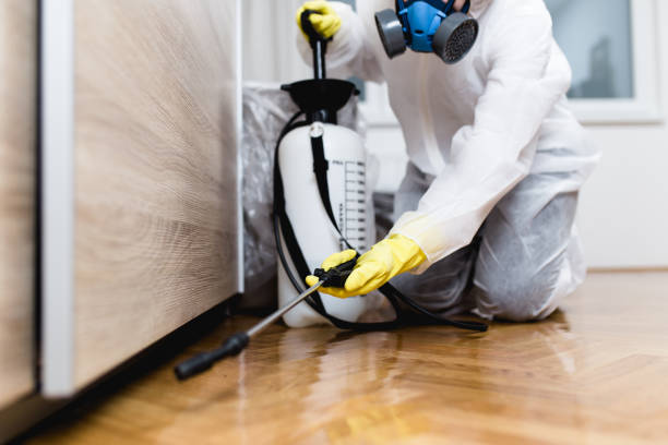 Best Affordable Pest Control Services  in Lehi, UT