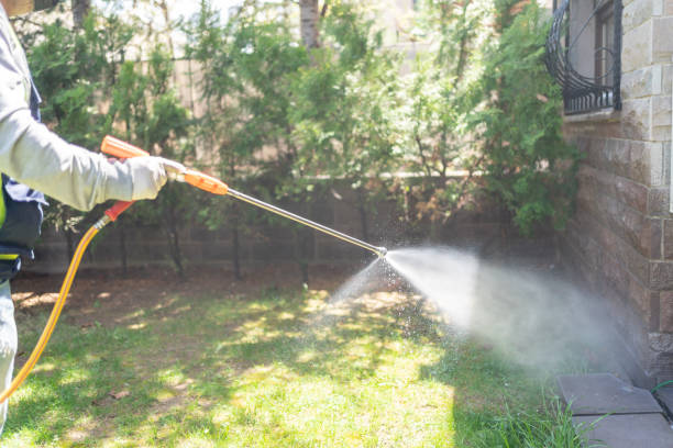 Best Ant Control Services  in Lehi, UT